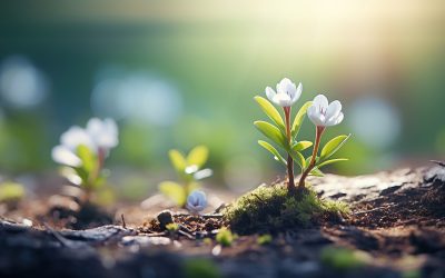 Alcance Serenidade com a Meditação